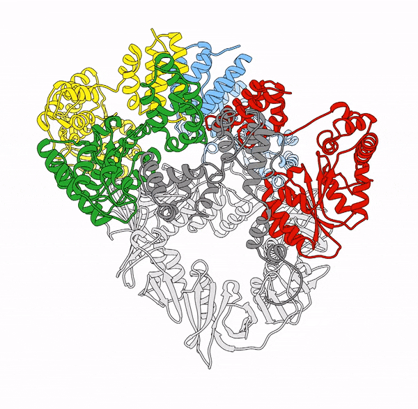 Computational design of dynamic proteins preview poster